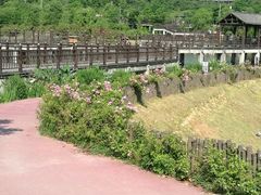 -石塘人家