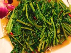 空心菜-Daddy Nimman Chiang Mai