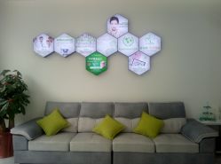 -莱可美科技美肤