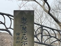 -幕燕滨江·燕子矶公园