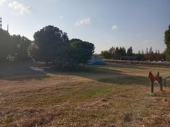 -田园东方蜜桃村的田野营地