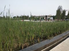 -西安浐灞国家湿地公园