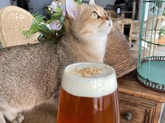-共舞时光猫咖·狗咖(新街口店)
