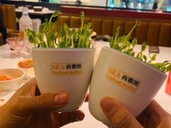 -SEA西雅图海鲜自助餐厅(海乐世界店)