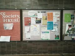 -香港大学