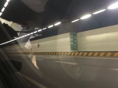 -胶州湾海底隧道