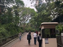 -九龙公园