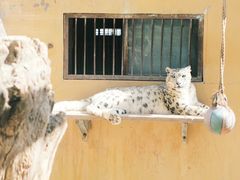 -青藏高原野生动物园