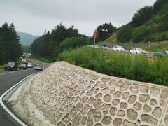 -塞罕坝国家级自然保护区