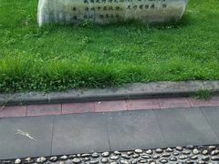 -重庆彩云湖湿地公园
