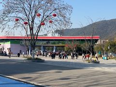 -无锡动物园·太湖欢乐园