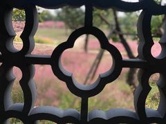 -上海滨江森林公园