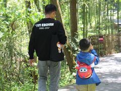 -藏龙百瀑风景区