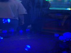 -横店影视城梦幻谷园区