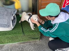 -英子面店(邓铁梅路店)