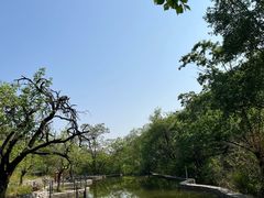 -静之湖度假区