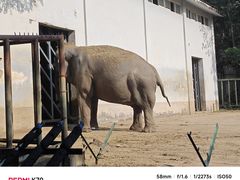 -合肥野生动物园
