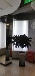 -PE SALON