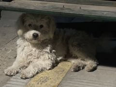 -大润发(梅兰东路店)