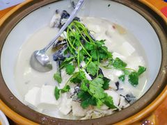 -全乐鱼馆·淳牌有机鱼直营店