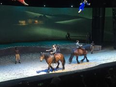 -cavalia·舞马