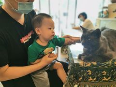 -平行世界·猫咖(首经贸店)