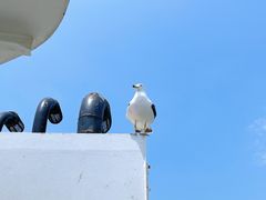 -海驴岛(荣成市)