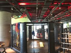 -威尔仕健身(丁香国际店)
