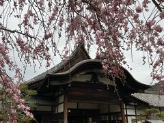 -醍醐寺