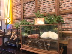 -纳福苑(亮庆餐饮分店)