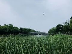 -南翔镇银翔湖公园