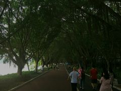 -南宁南湖公园