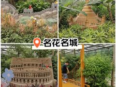 -南宫五洲植物乐园