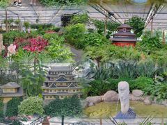 -南宫五洲植物乐园