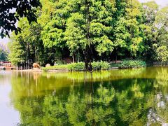 -荔湾湖公园