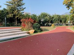 -光明港公园
