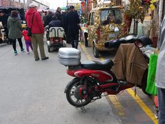 -中环花鸟鱼虫市场