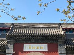 -护国法轮寺
