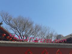 -西海子公园