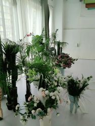 -小阿福儿童摄影(光谷时代广场店)