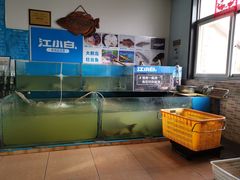 水产区-大鹅岛灶台鱼·铁锅炖(水库路店)