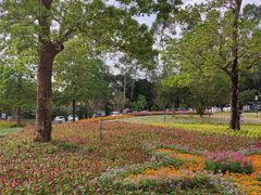 -广州市流溪河国家森林公园