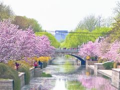 -元大都城垣遗址公园