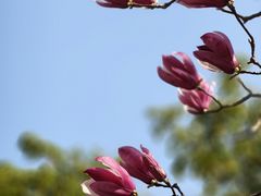 -长广溪湿地公园