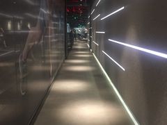 -威尔仕健身·游泳(KING88店)
