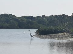 -东寨港红树林旅游区