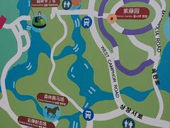 -上海海湾国家森林公园