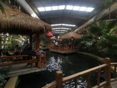 -南宫五洲植物乐园