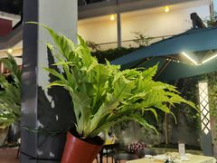 -桃源阁(西樵山店)