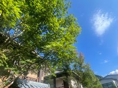 -花水湾红太阳牛肉汤锅